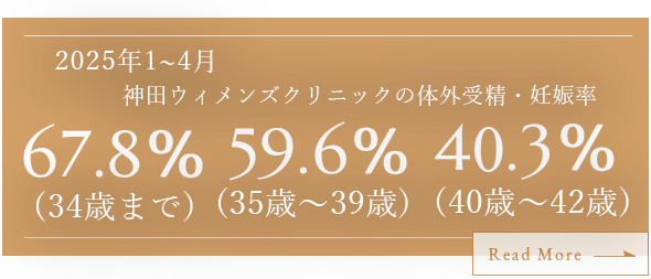 神田ウィメンズクリニックの体外受精・妊娠率