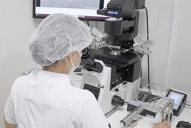 顕微鏡を見る女性スタッフ