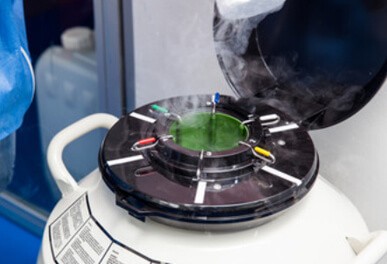 凍結用タンクの写真